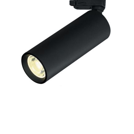 Roll Large
