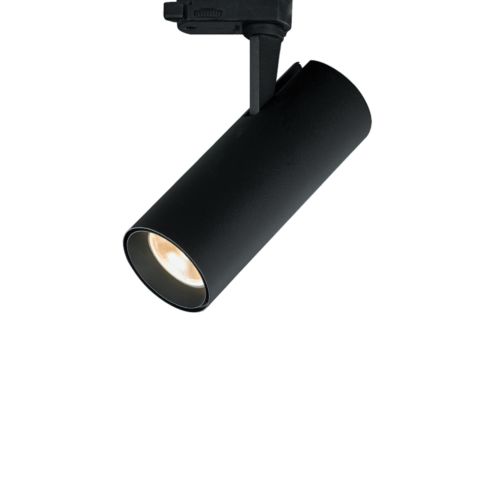 Roll Midi